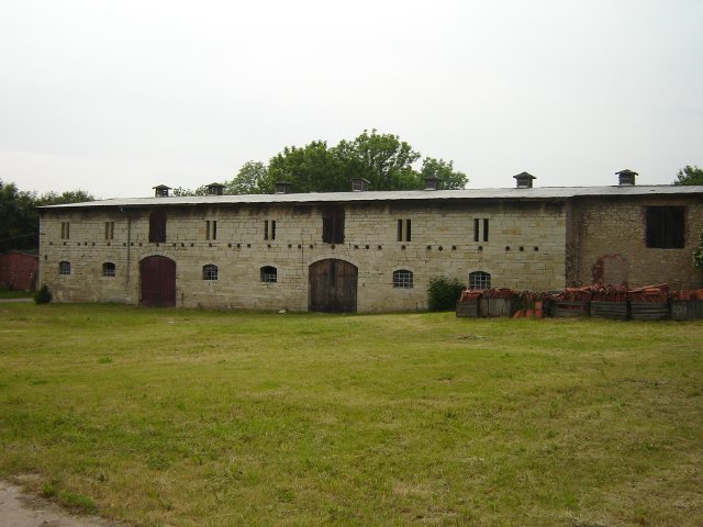 DSC03019